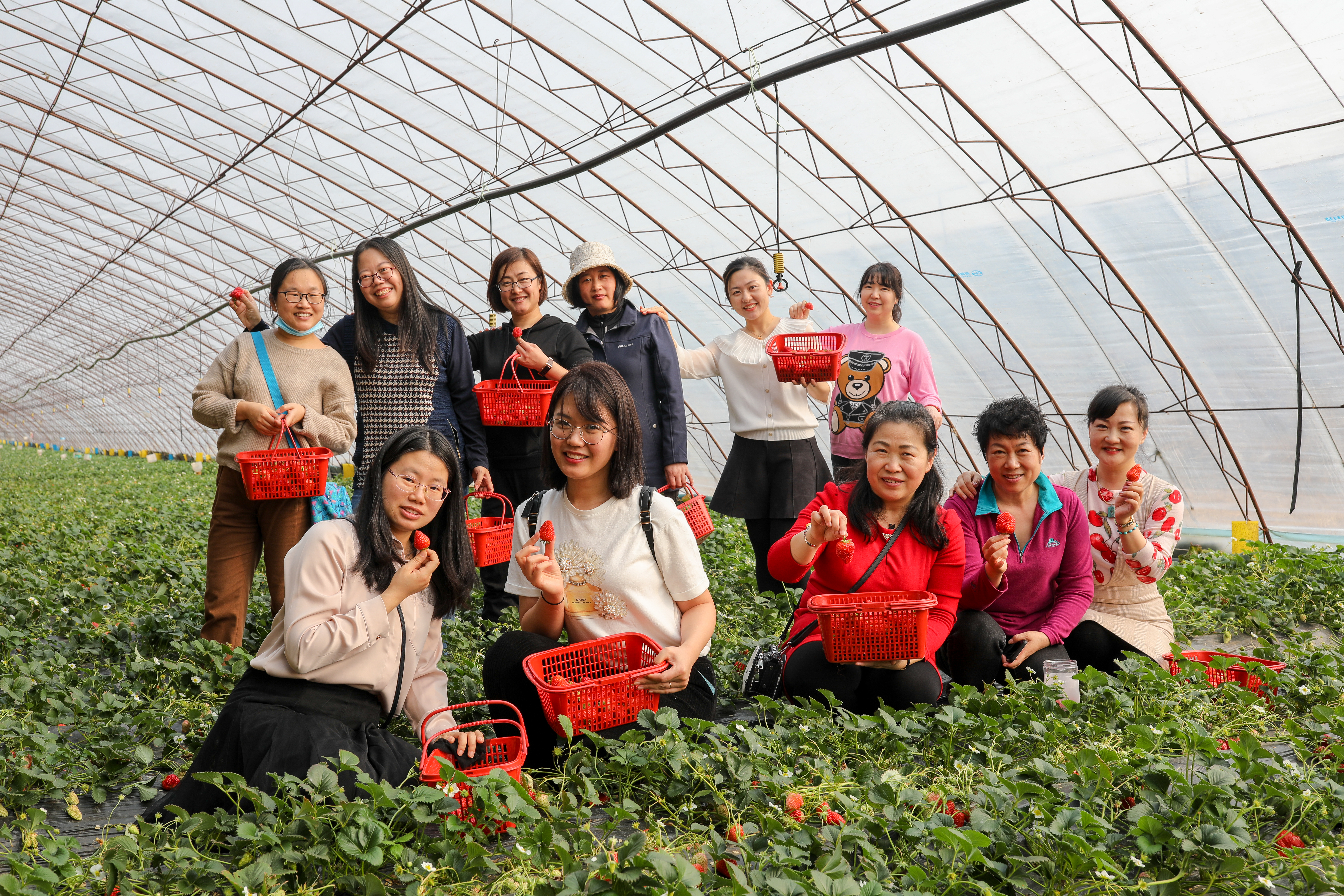 女神节摘草莓主题图片